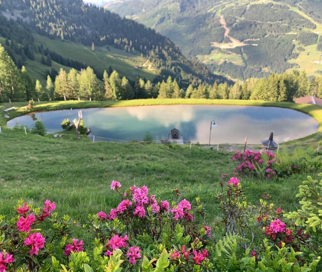 Hotel Alpina ไคลนาร์ล ภายนอก รูปภาพ
